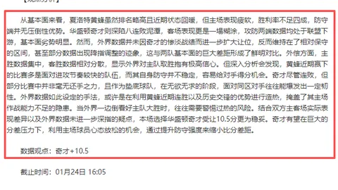 帕尔默英超首秀点球失手，中场休息急奔洗手间